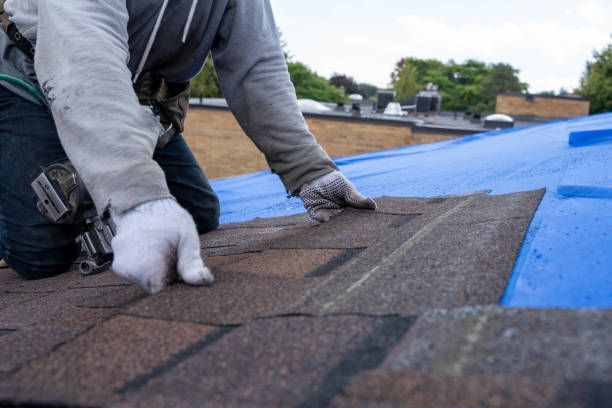 Best Commercial Roofing Services  in Orida City, FL